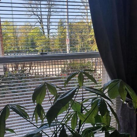 River View Apartment Suite 科克 外观 照片