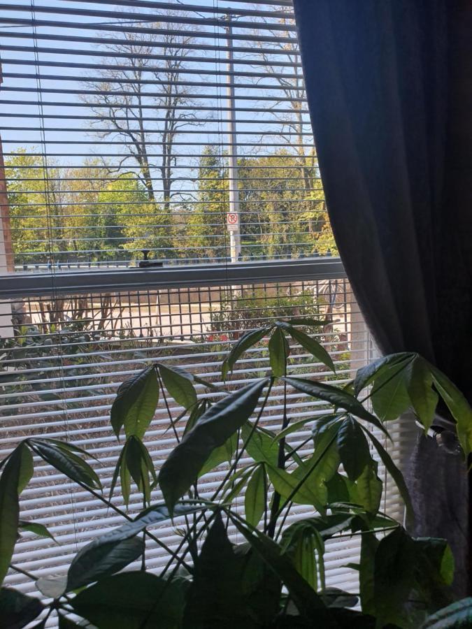 River View Apartment Suite 科克 外观 照片